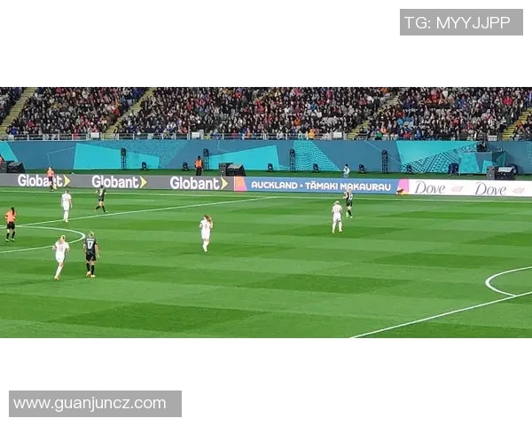 2010欧洲杯回顾：激情与荣耀交织的足球盛宴与历史瞬间